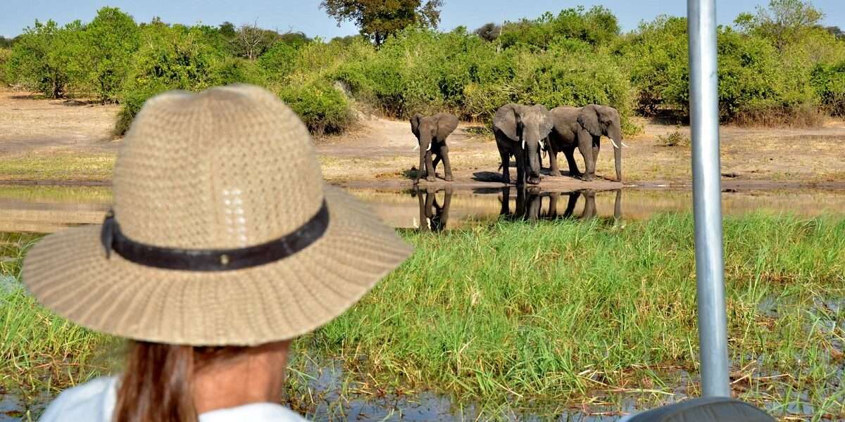 Chobe River Safari