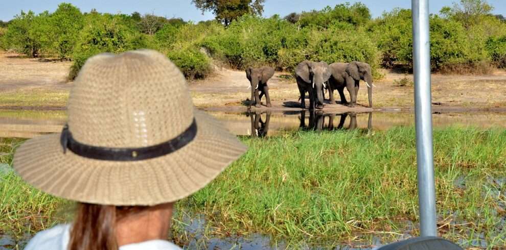 Chobe River Safari