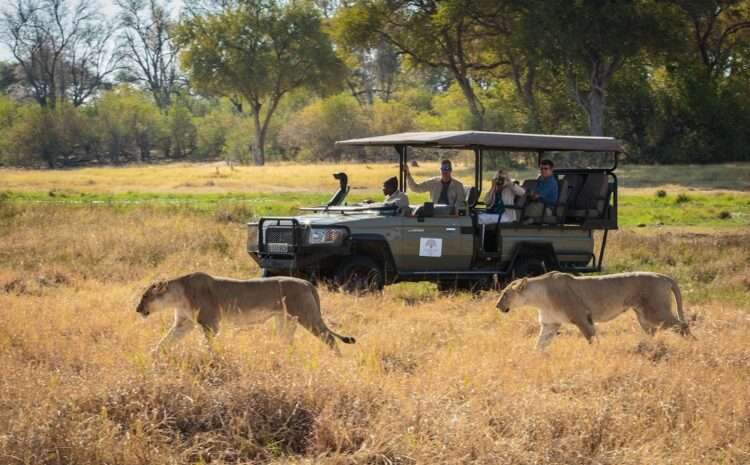 Hwange Luxury Safari