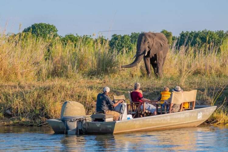 Best of Lower Zambezi Safari