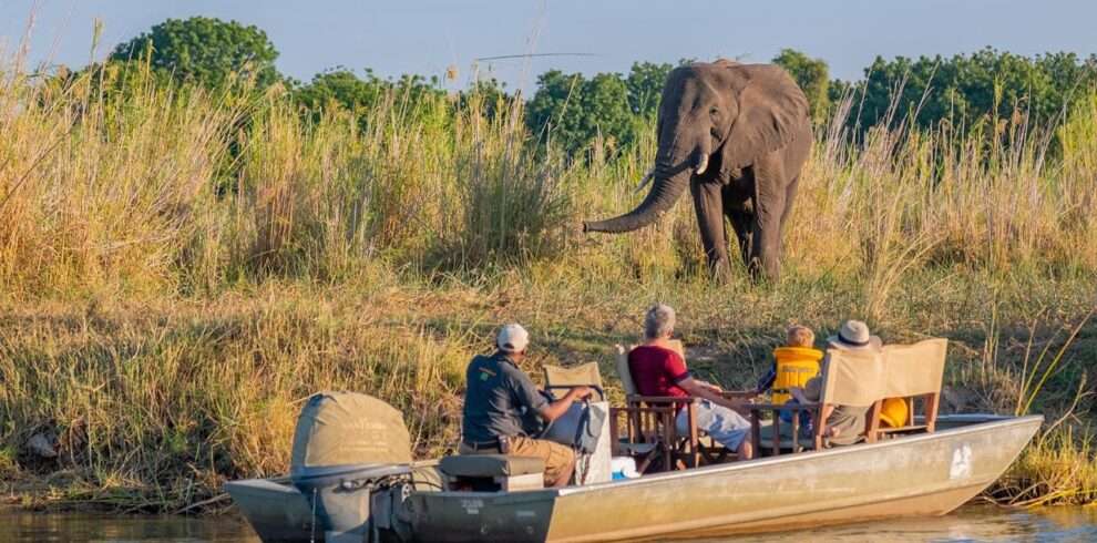 Best of Lower Zambezi Safari