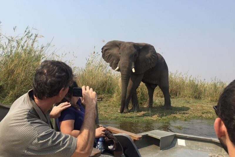 Best of Lower Zambezi Safari