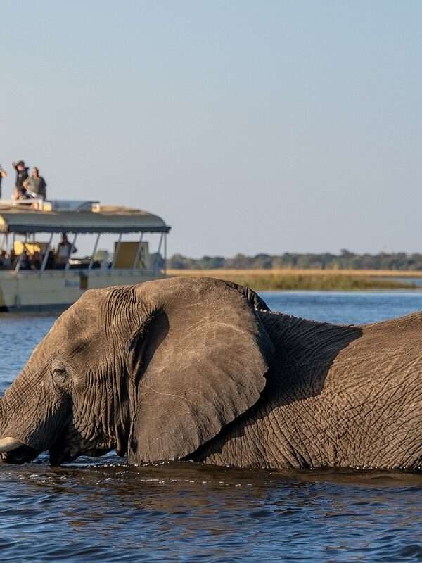 Incredible Botswana Highlights Safari