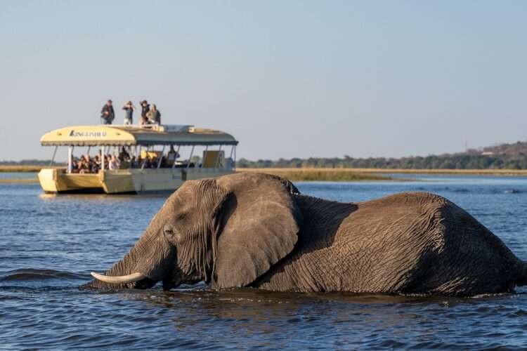 Incredible Botswana Highlights Safari