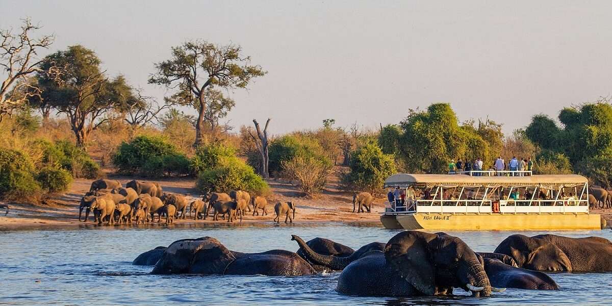 Incredible Botswana Highlights Safari