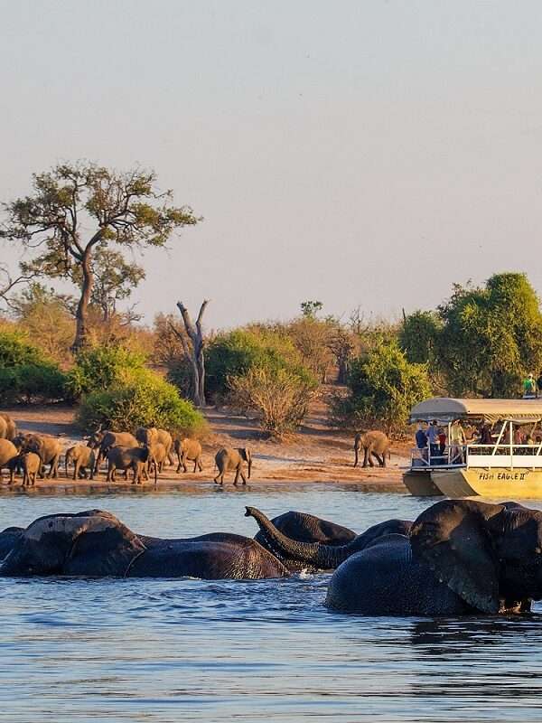 Incredible Botswana Highlights Safari