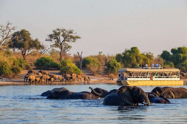 Incredible Botswana Highlights Safari