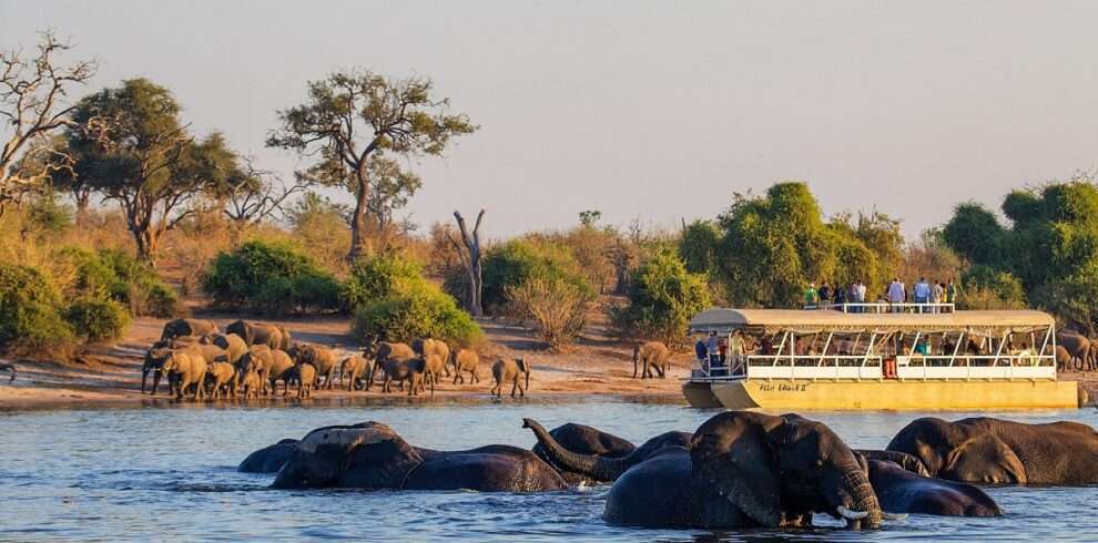 Incredible Botswana Highlights Safari