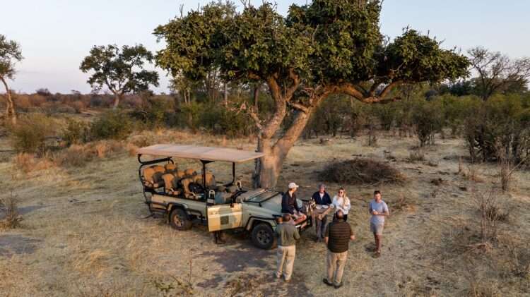 Hwange Luxury Safari