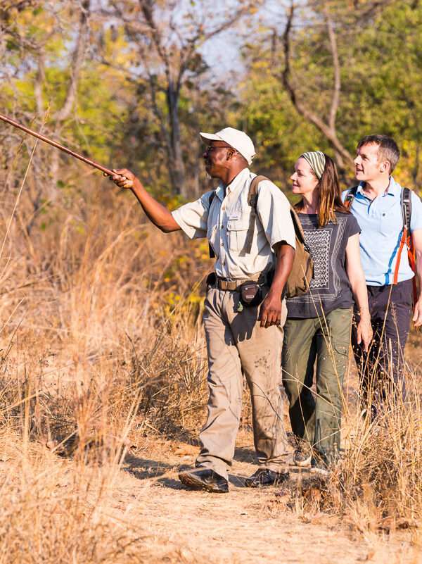 Classic Kafue Safari