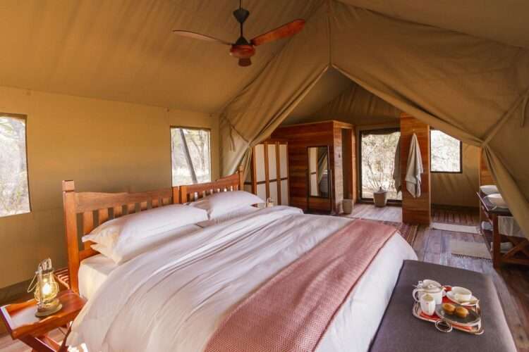 Hwange Luxury Safari