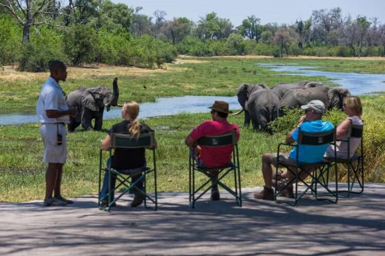 Luxury Okavango safari and Seychelles island escape with Big Five wildlife encounters and tropical beach relaxation