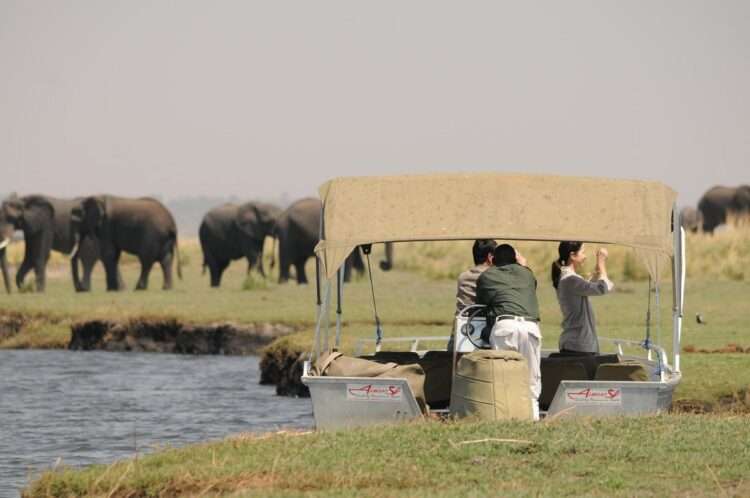 Best of Victoria Falls and Chobe Safari