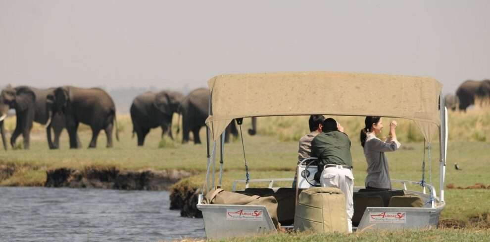 Best of Victoria Falls and Chobe Safari