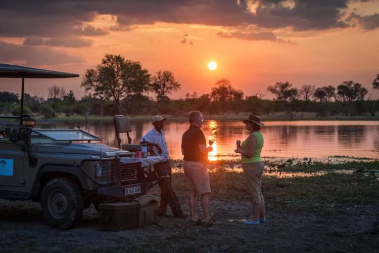 Luxury Okavango safari and Seychelles island escape with Big Five wildlife encounters and tropical beach relaxation