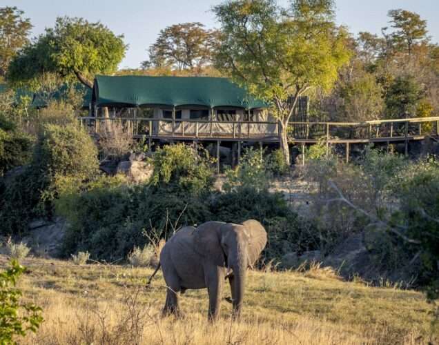 Hwange Luxury Safari