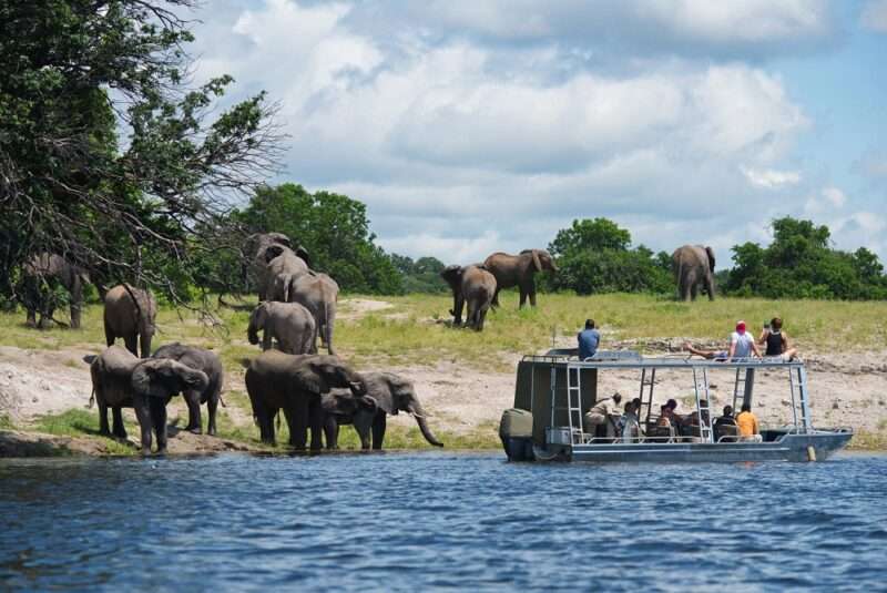 Zambezi Queen River Safari