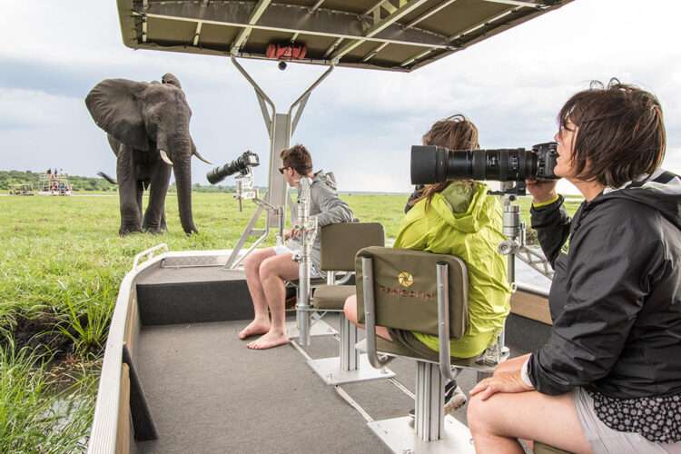 Best of The Chobe Photo Safari