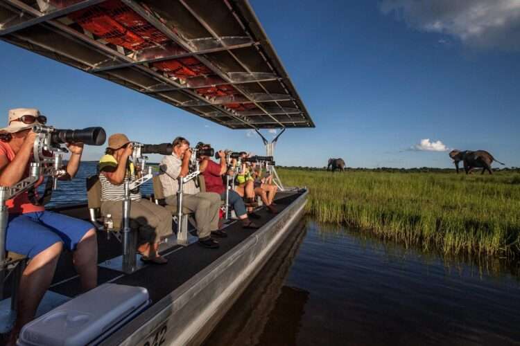 Best of The Chobe Photo Safari