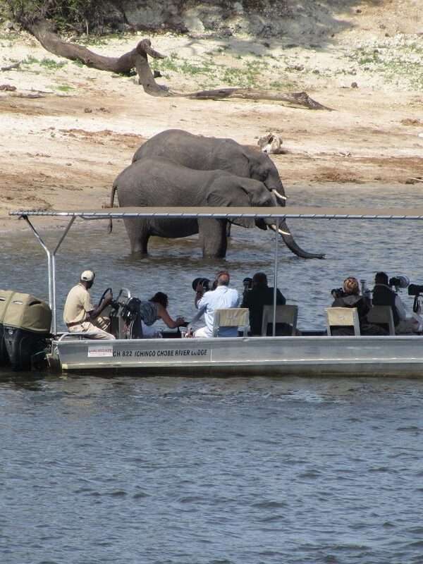 Zambezi Queen River Safari