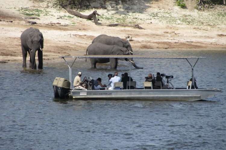 Zambezi Queen River Safari