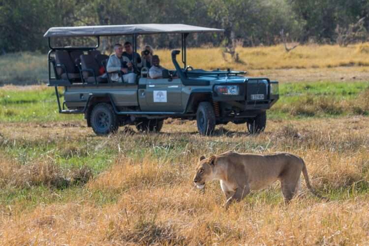 Hwange Luxury Safari