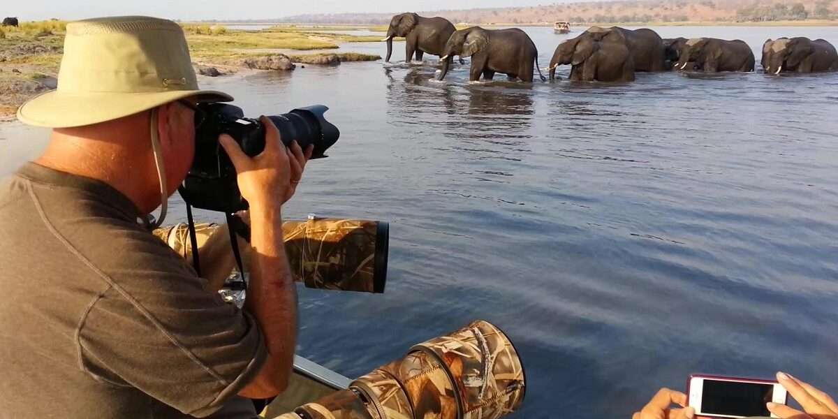 Best of The Chobe Photo Safari