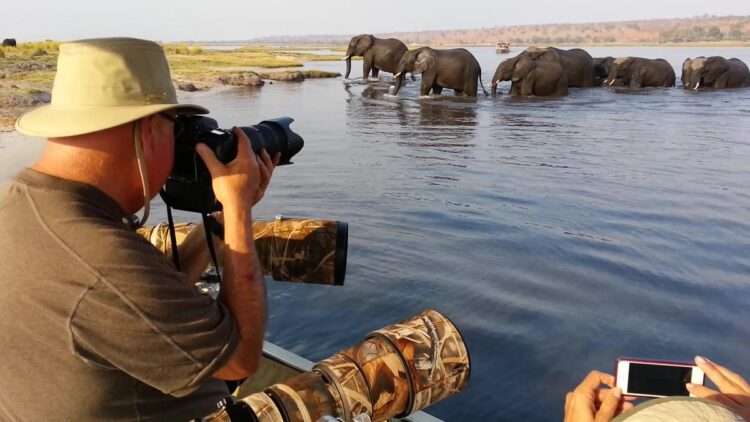 Best of The Chobe Photo Safari