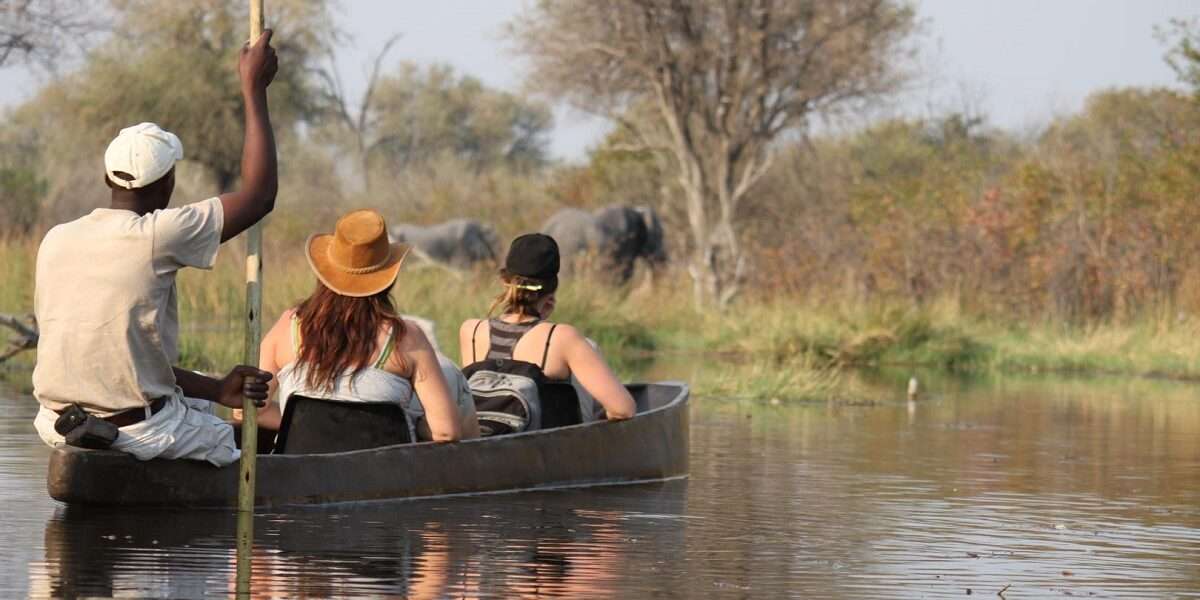 Okavango Delta Safari