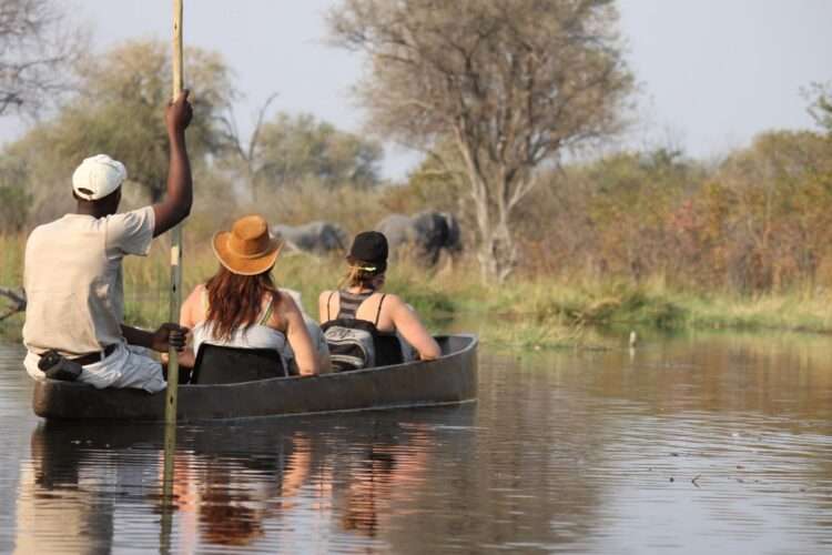 Okavango Delta Safari