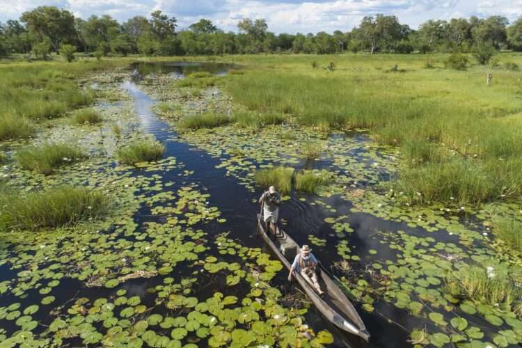 Okavango Delta Safari