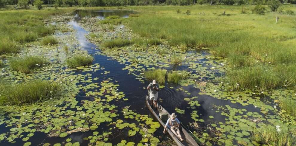 Okavango Delta Safari