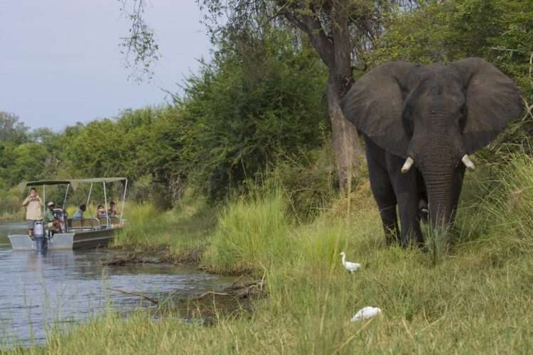 Victoria Falls And Lower Zambezi