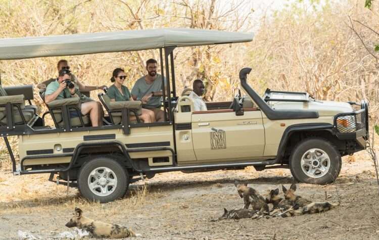 Botswana Family Safari