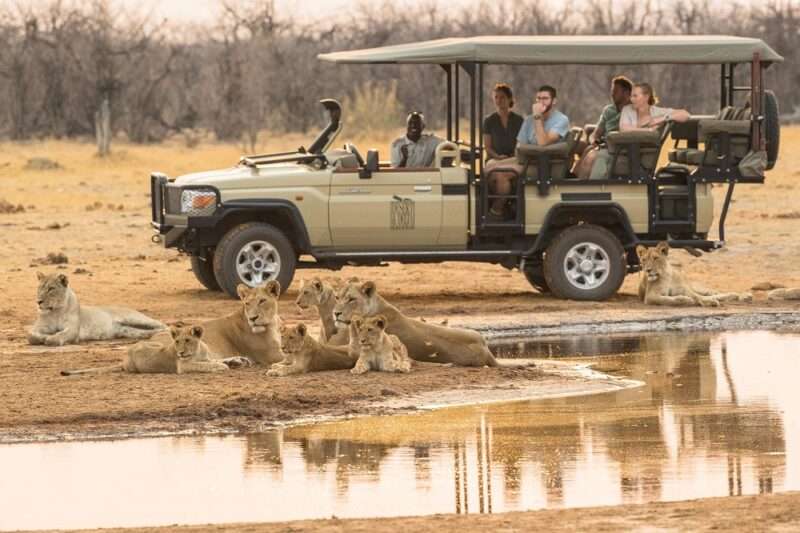 Botswana Family Safari