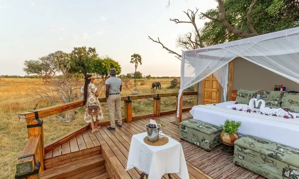 Botswana Honeymoon Safari