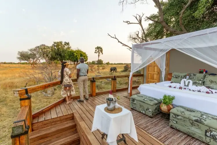 Botswana Honeymoon Safari