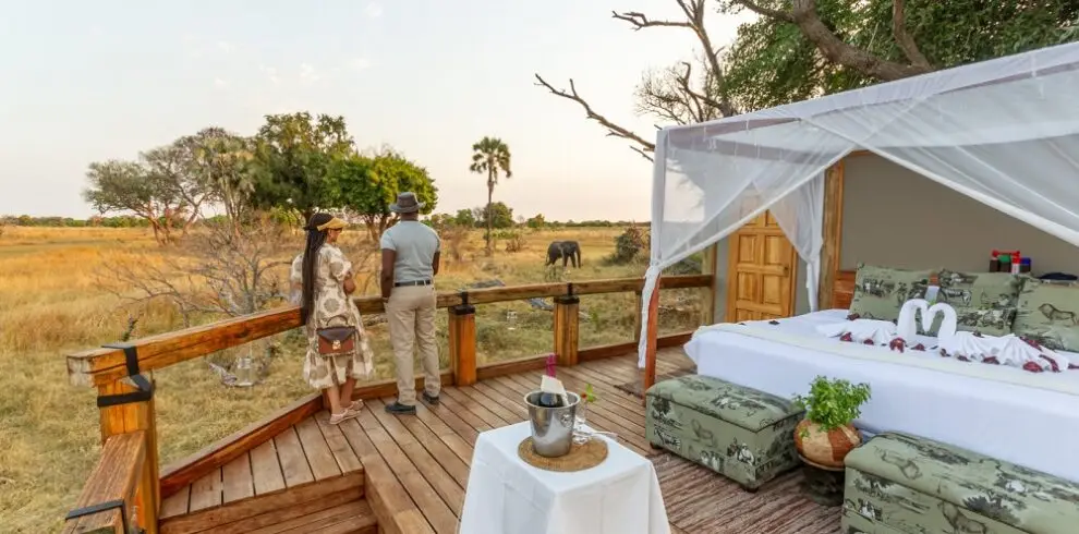 Botswana Honeymoon Safari