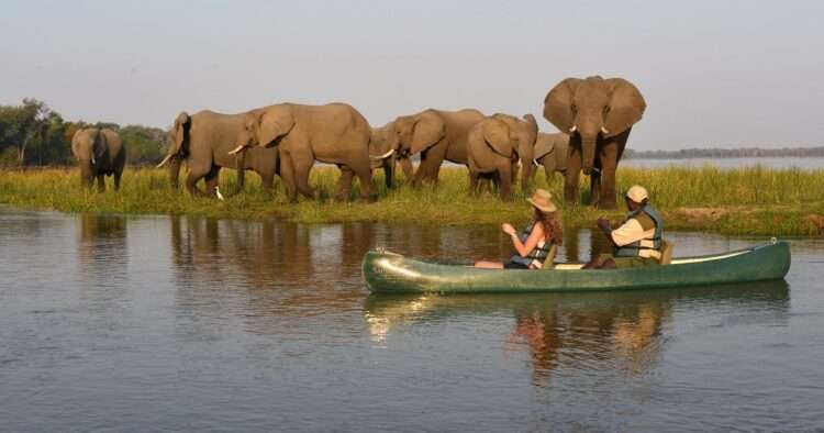 Bush and Beach Safari