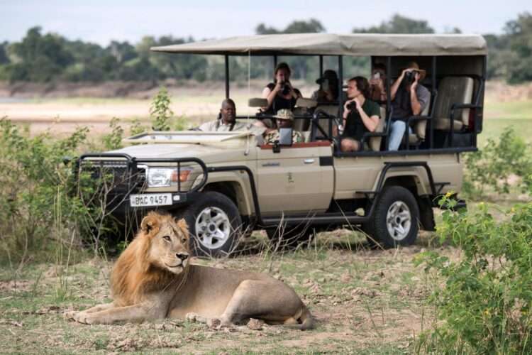 Bush and Beach Safari