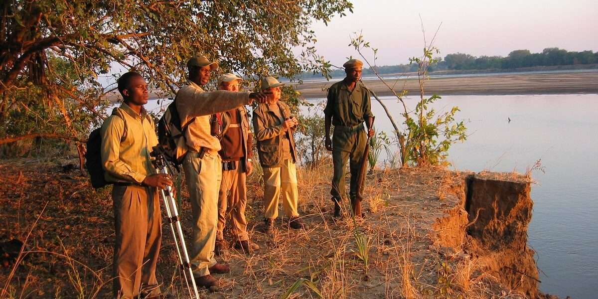 Best of South Luangwa Safari