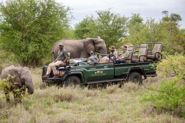 Kruger to Cape Luxury Escape