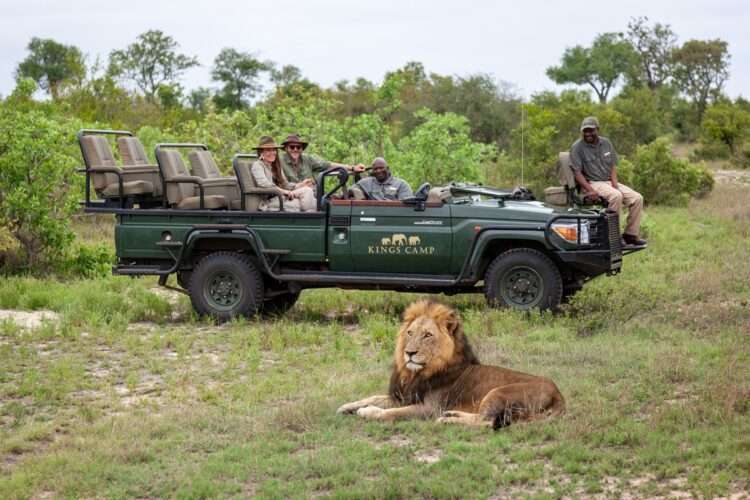 South African luxury safari featuring Madikwe Game Reserve, Sabi Sand Game Reserve, and Timbavati Private Nature Reserve with stunning wildlife and 5-star lodges.