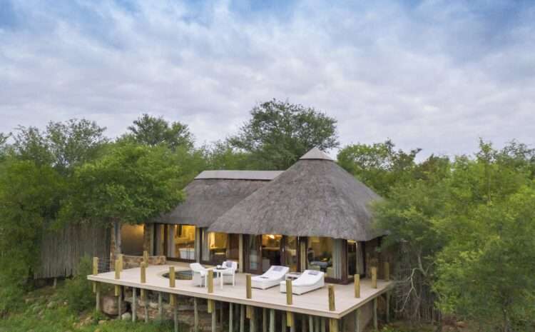 Kruger to Cape Luxury Escape