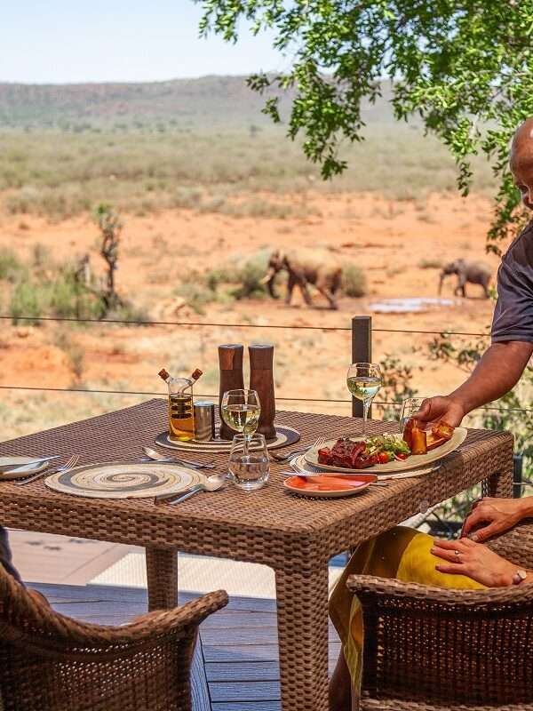 South African luxury safari featuring Madikwe Game Reserve, Sabi Sand Game Reserve, and Timbavati Private Nature Reserve with stunning wildlife and 5-star lodges.