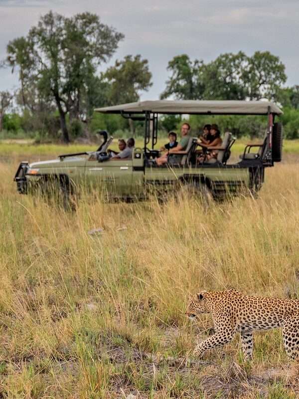 Botswana Wildlife Odyssey