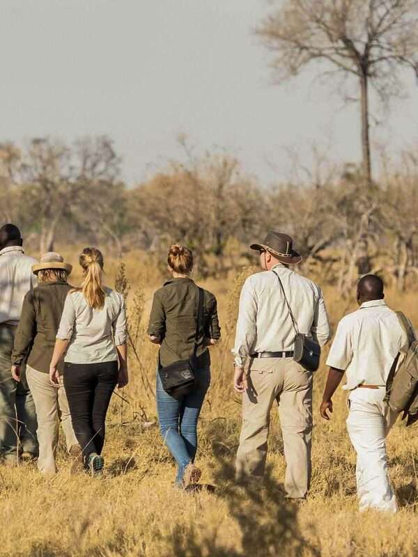 Botswana Wildlife Odyssey