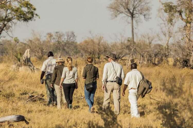 Botswana Wildlife Odyssey