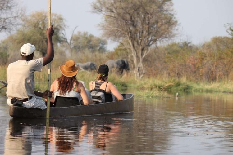 Okavango Delta Botswana Safari (Moremi & Khwai)