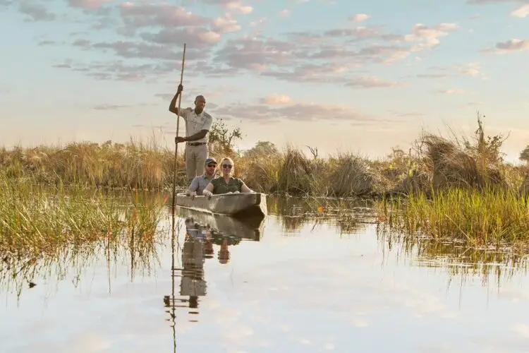 Botswana Honeymoon Safari